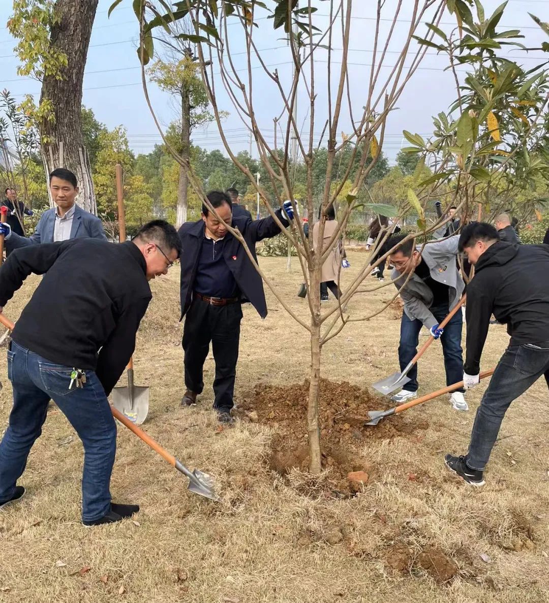 �������ǲ�(�й�)����-�ٷ���վ