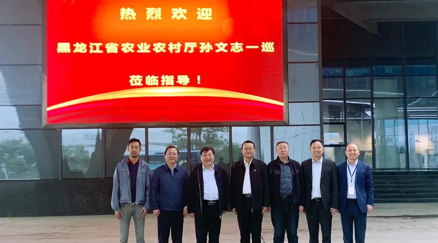 �������ǲ�(�й�)����-�ٷ���վ