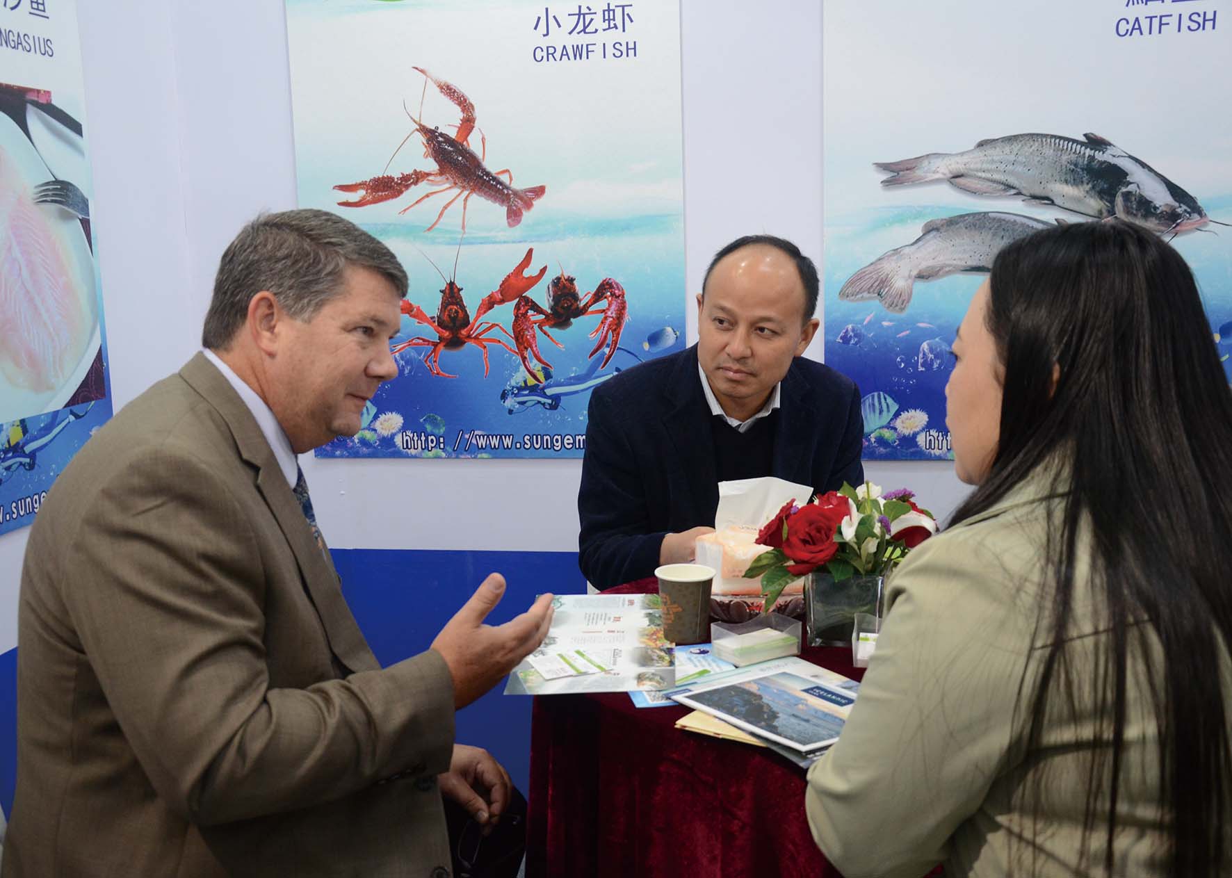 �������ǲ�(�й�)����-�ٷ���վ