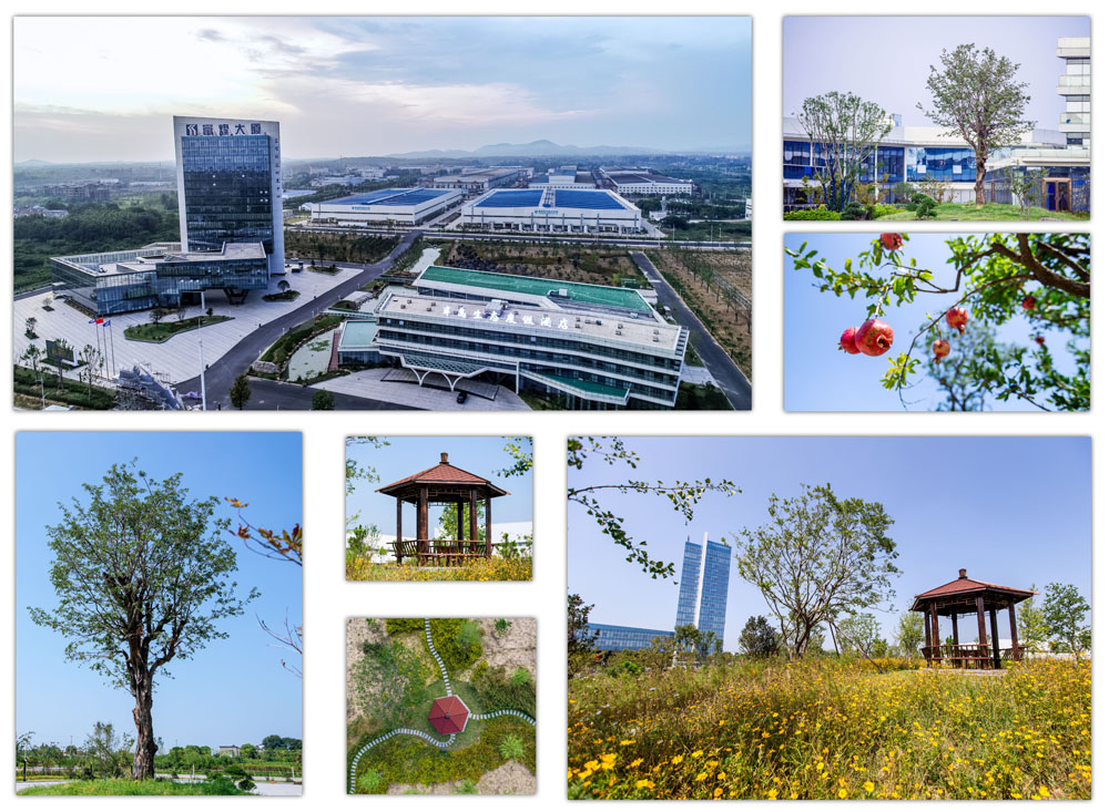 �������ǲ�(�й�)����-�ٷ���վ