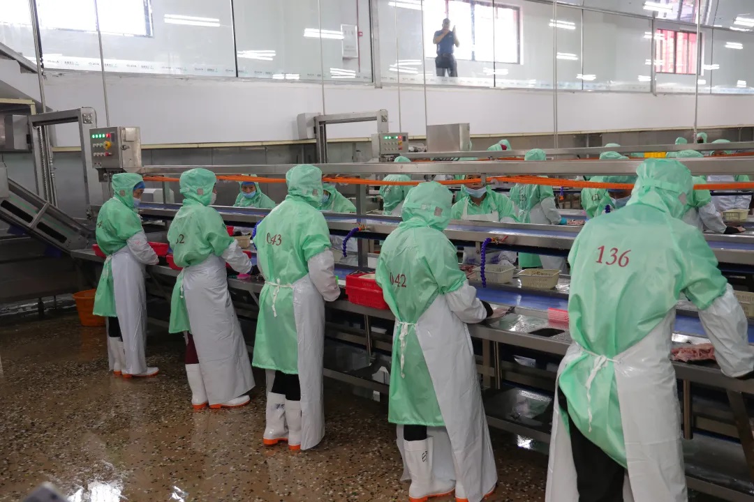 �������ǲ�(�й�)����-�ٷ���վ