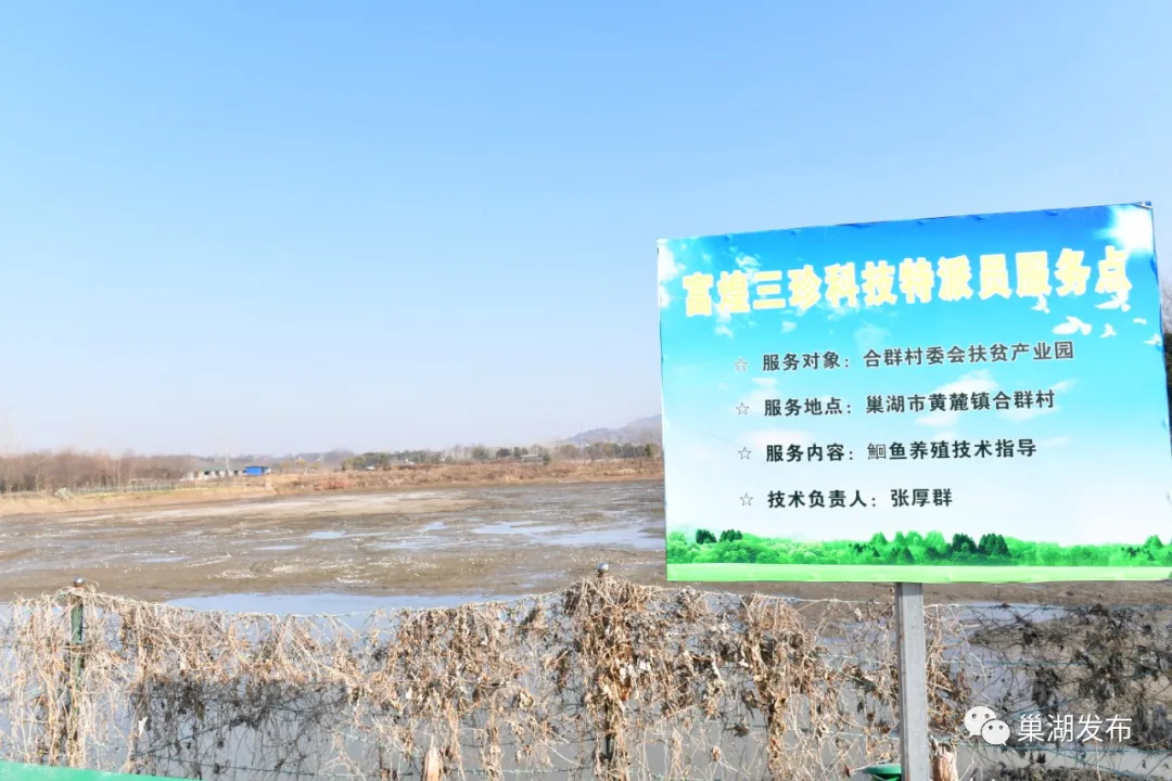 �������ǲ�(�й�)����-�ٷ���վ