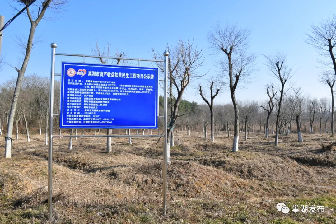 �������ǲ�(�й�)����-�ٷ���վ