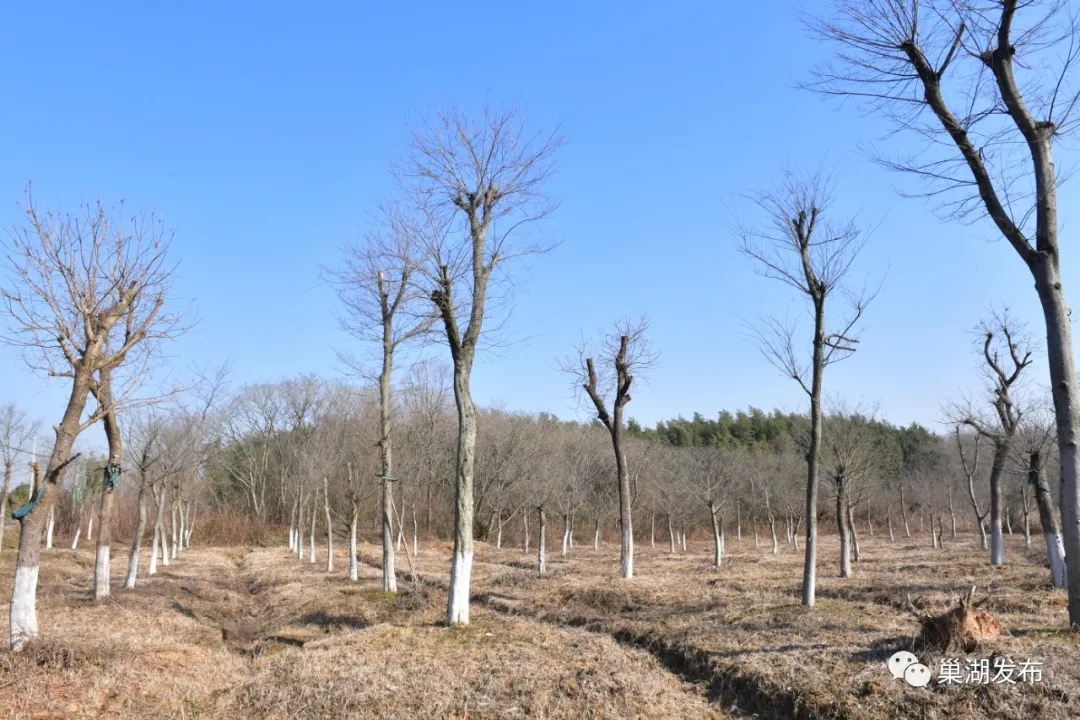 �������ǲ�(�й�)����-�ٷ���վ