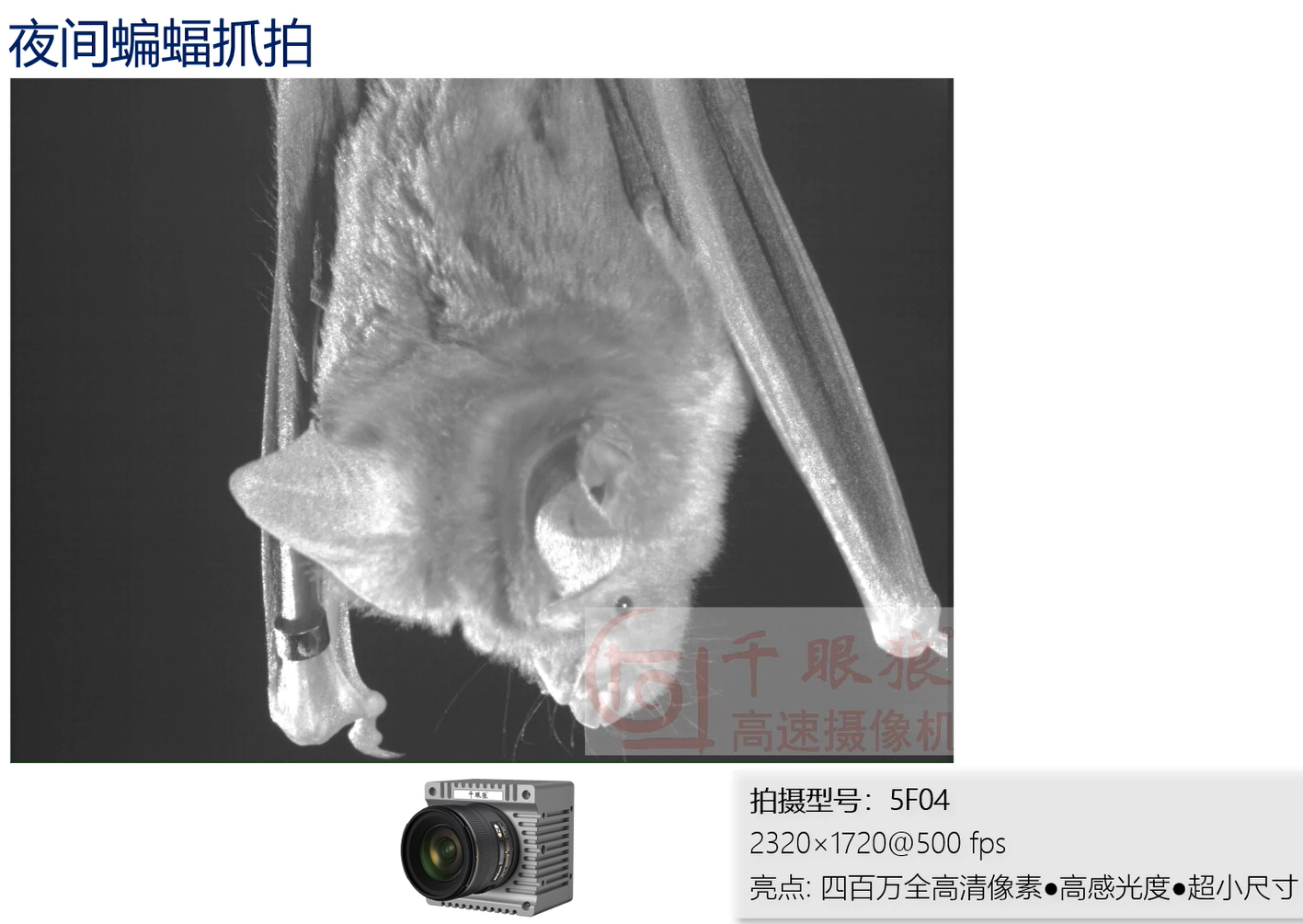 �������ǲ�(�й�)����-�ٷ���վ