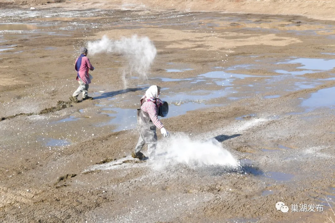 �������ǲ�(�й�)����-�ٷ���վ