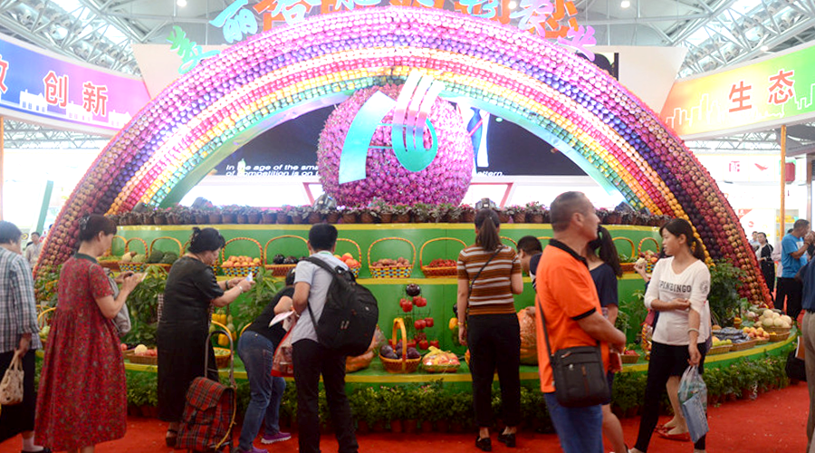 �������ǲ�(�й�)����-�ٷ���վ