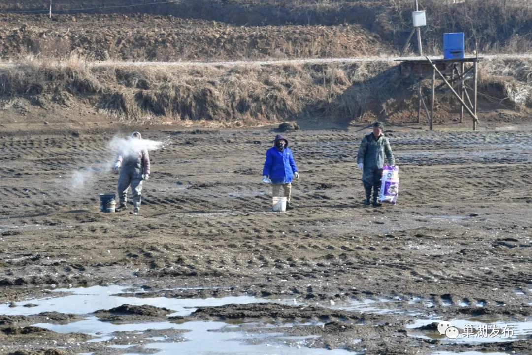 �������ǲ�(�й�)����-�ٷ���վ