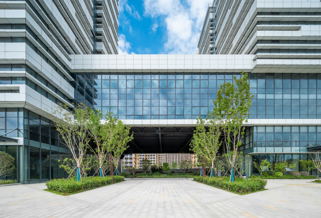 �������ǲ�(�й�)����-�ٷ���վ