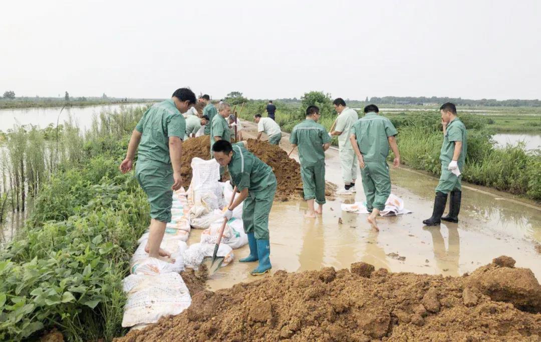 �������ǲ�(�й�)����-�ٷ���վ