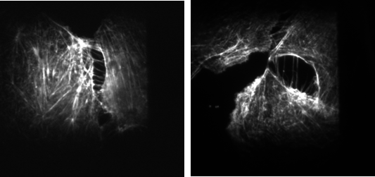 人生就是搏(中国)集团-官方网站