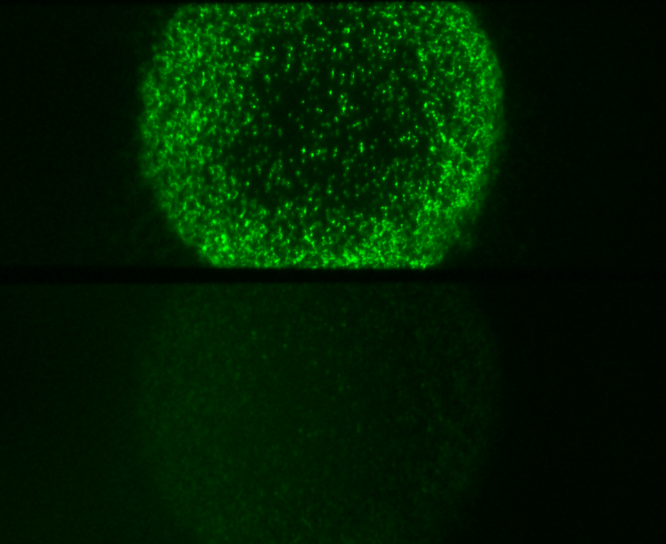 人生就是搏(中国)集团-官方网站